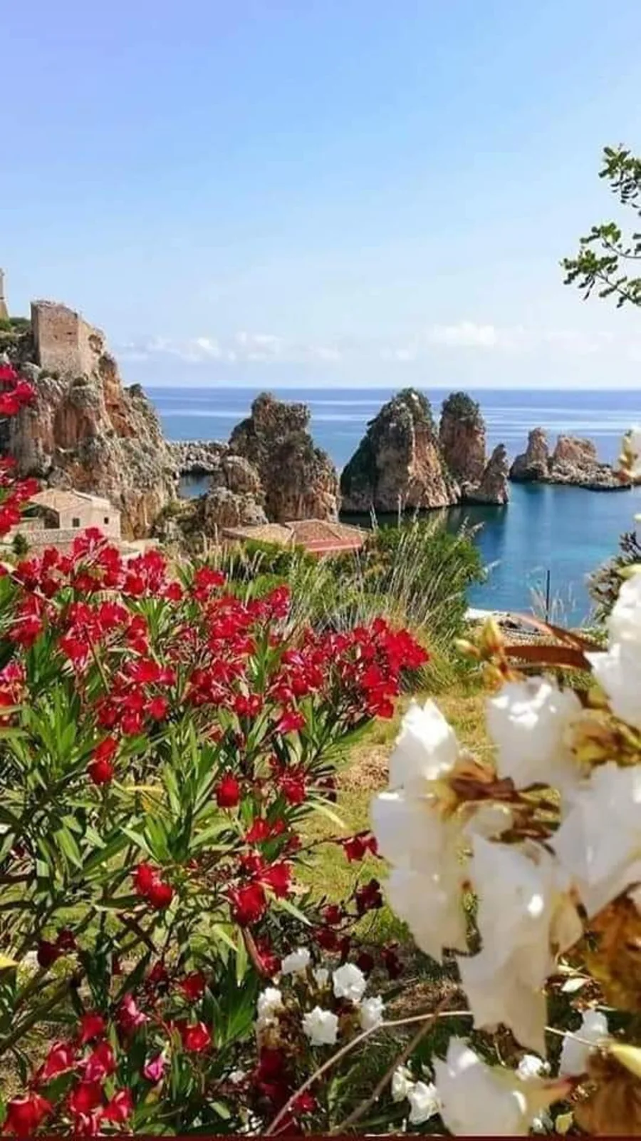 Faraglioni di Scopello sulla costa di Castellammare del Golfo in Sicilia 